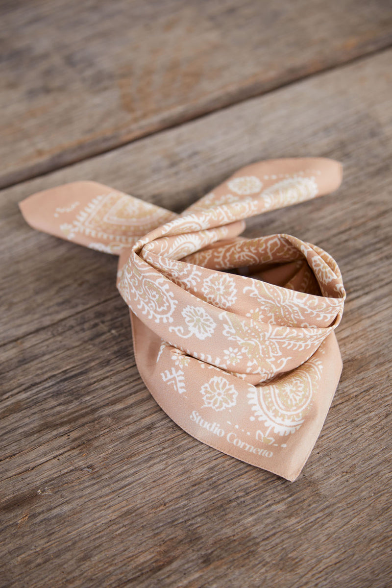 Bandana Paisley