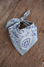 Bandana Paisley